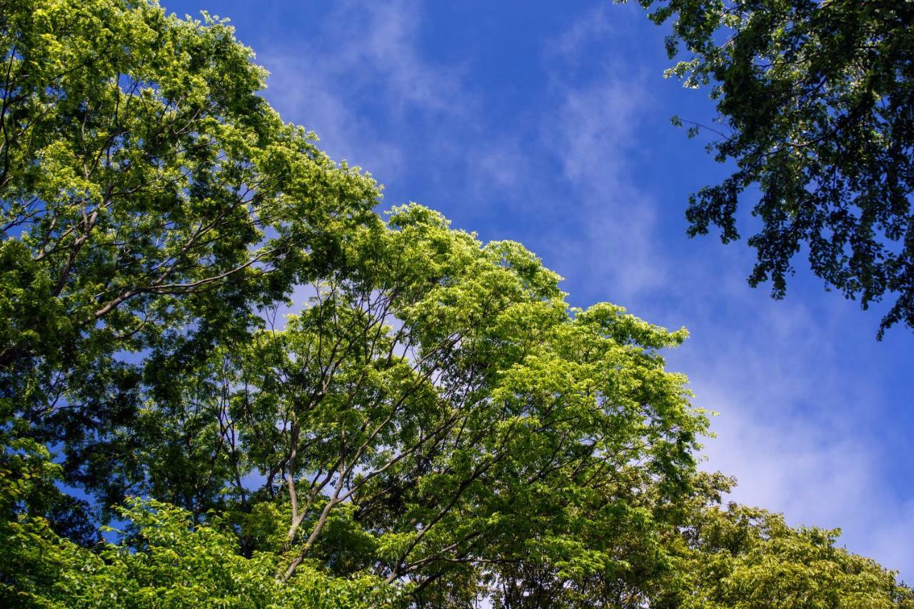 ホテルHauska Karuizawa 佐久市 エクステリア 写真